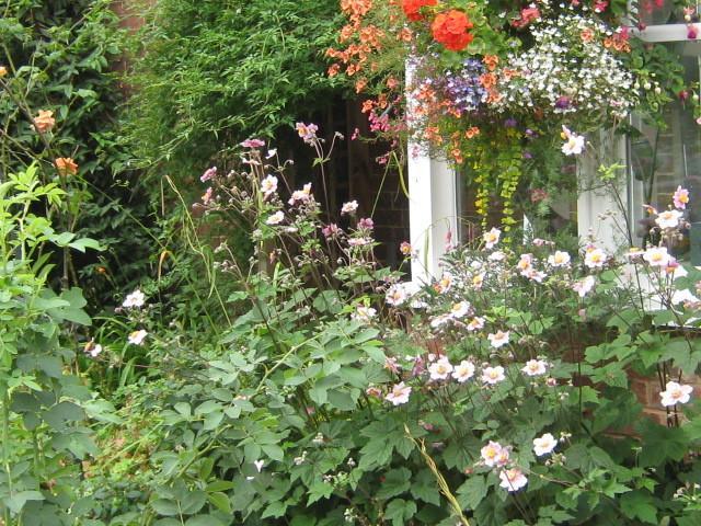 Bed & Breakfast Woodbine City Rooms Exeter