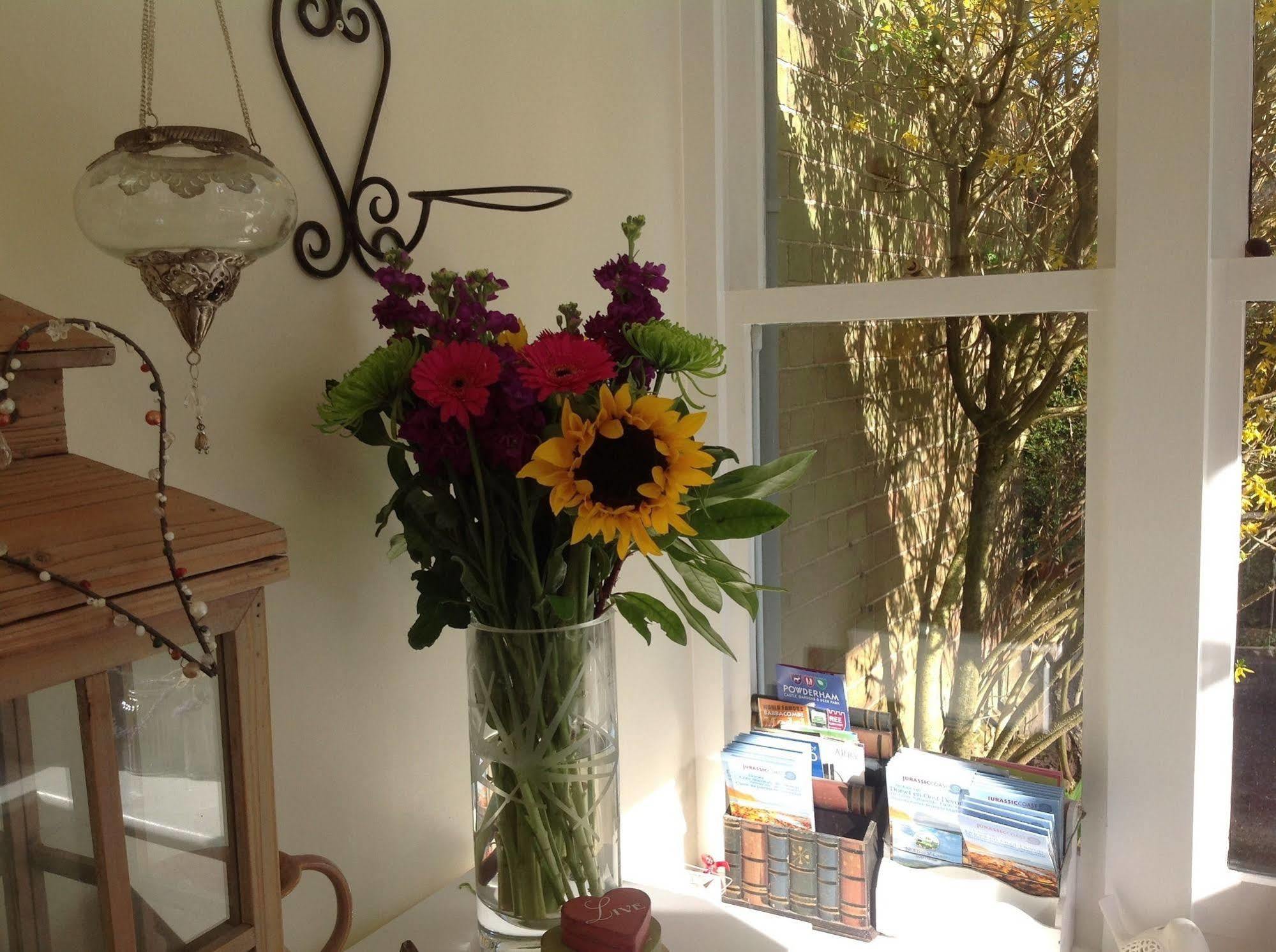 Bed & Breakfast Woodbine City Rooms Exeter