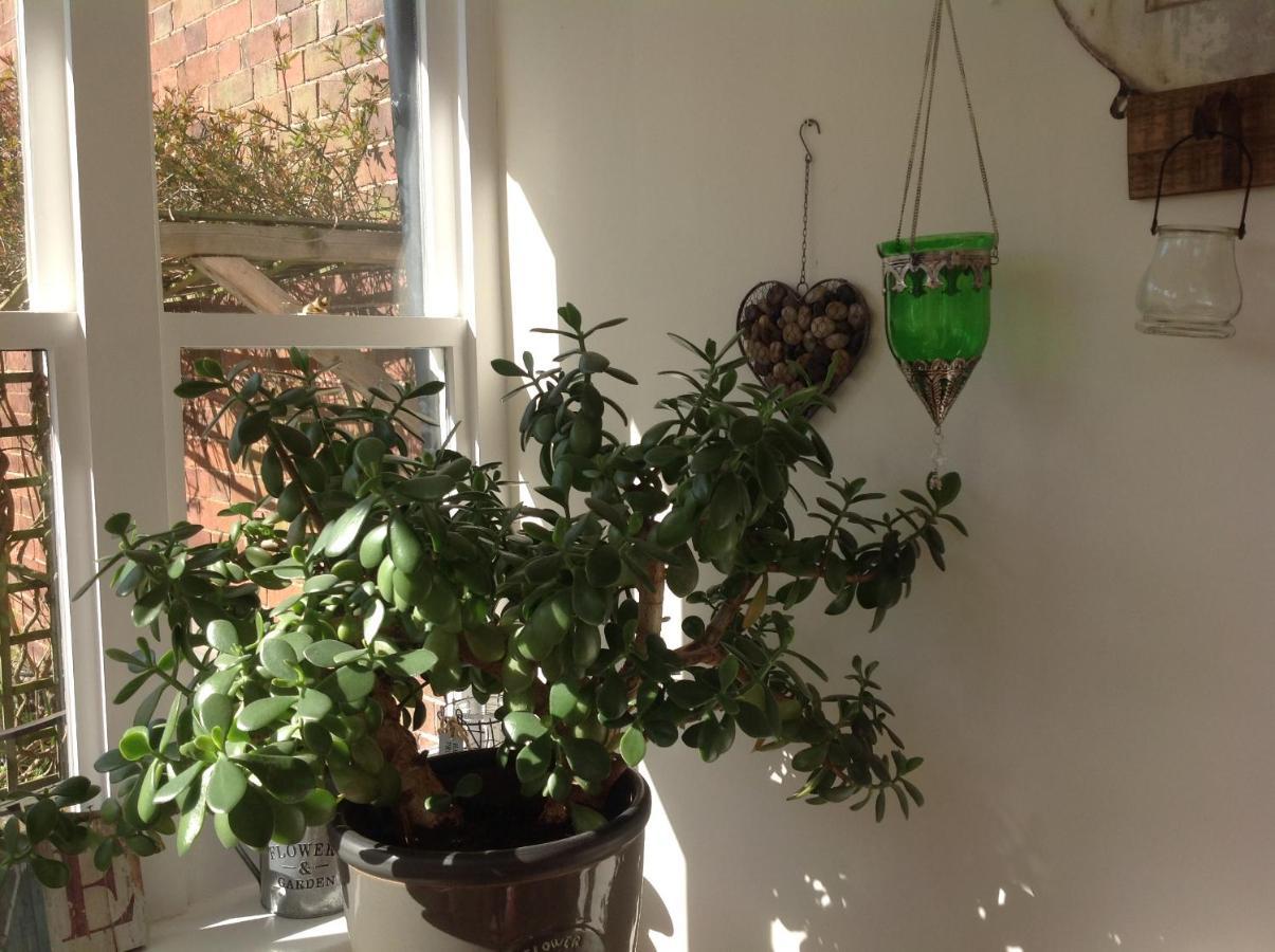Bed & Breakfast Woodbine City Rooms